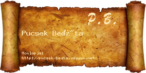 Pucsek Beáta névjegykártya