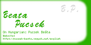 beata pucsek business card